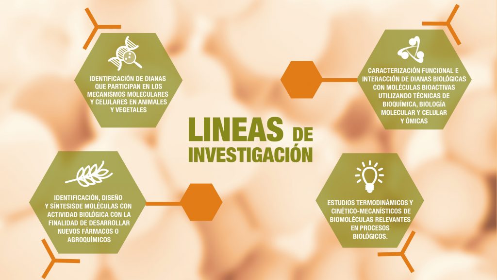 LINEAS DE INVESTIGACIÓN – INBIO | Instituto de Investigación de