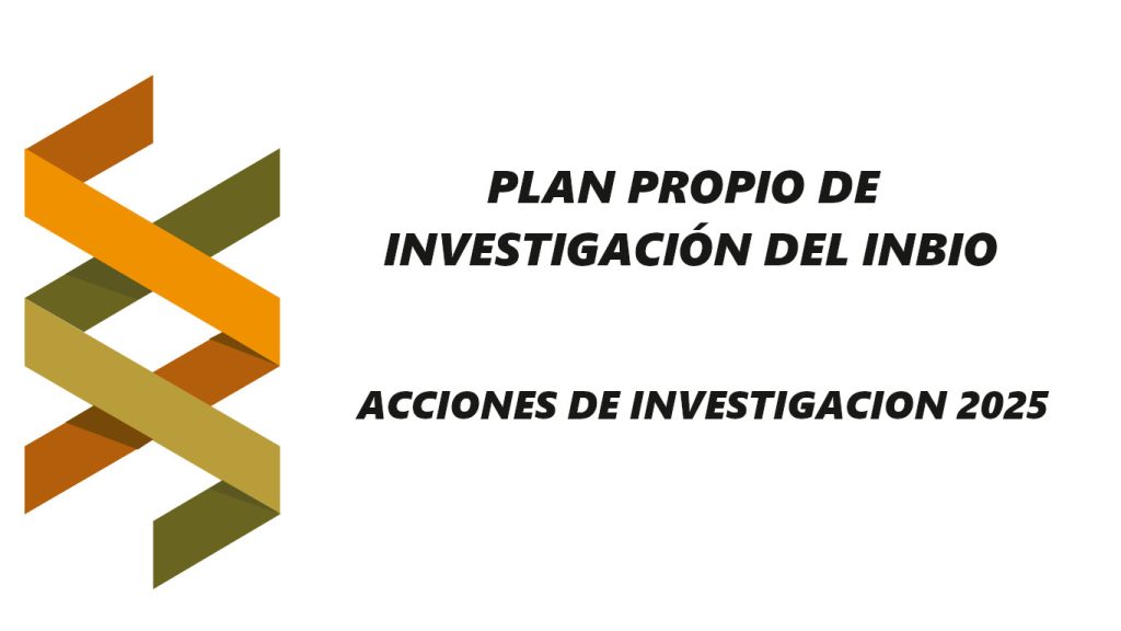 IMG Acciones de Investigación 2025