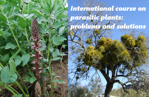 IMG International course on parasitic plants problems and solutions