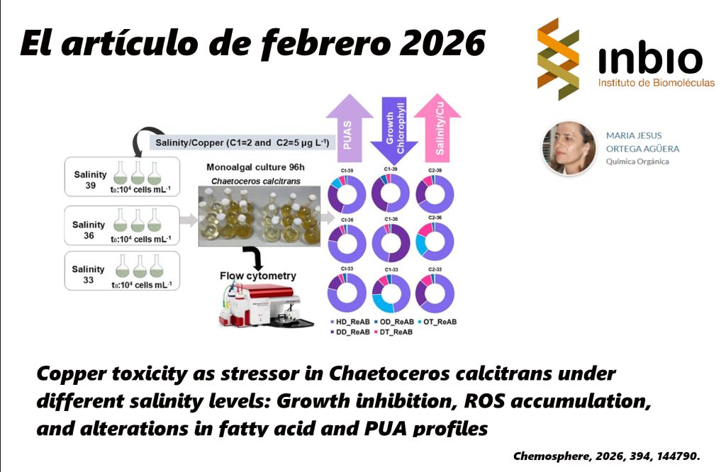 IMG ARTÍCULO MENSUAL