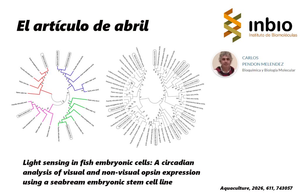 IMG ARTÍCULO MENSUAL