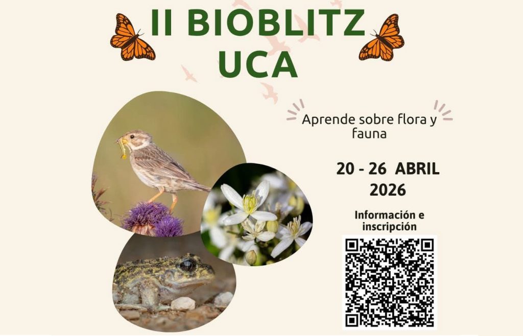 IMG II Bioblitz UCA