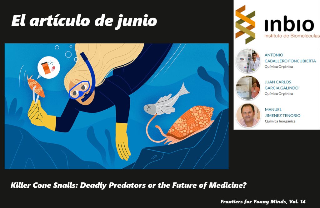 IMG ARTÍCULO MENSUAL