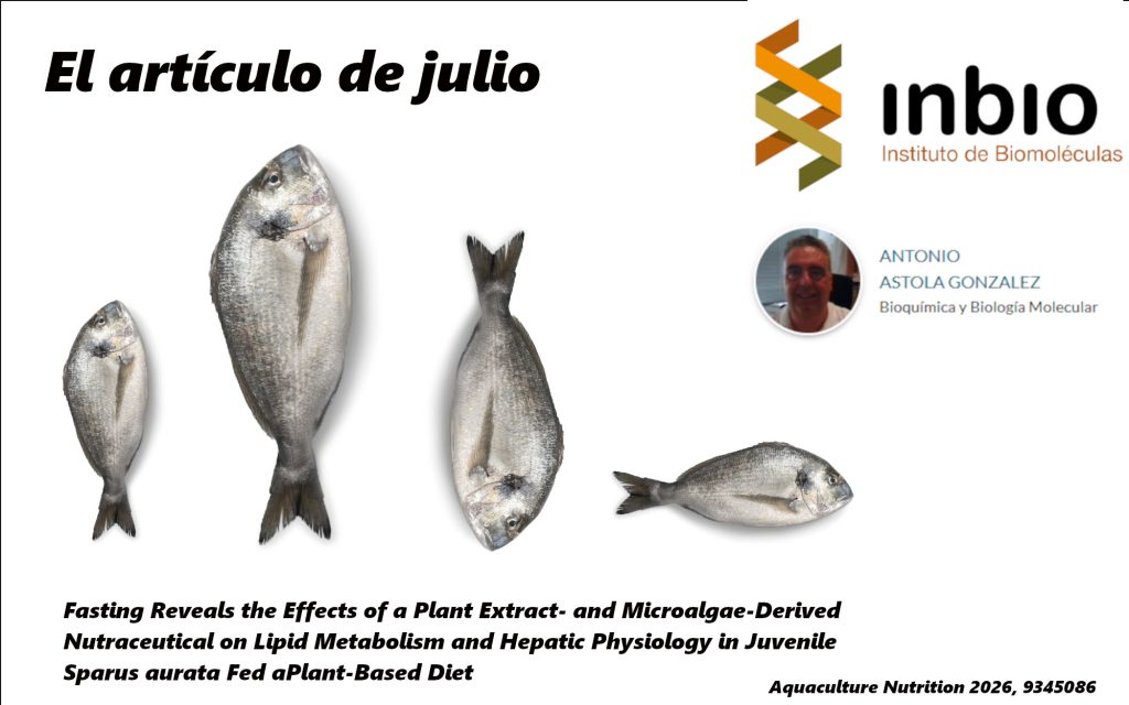 IMG ARTÍCULO MENSUAL