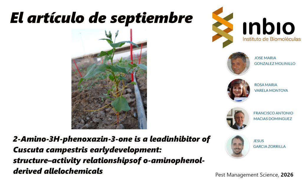IMG ARTÍCULO MENSUAL