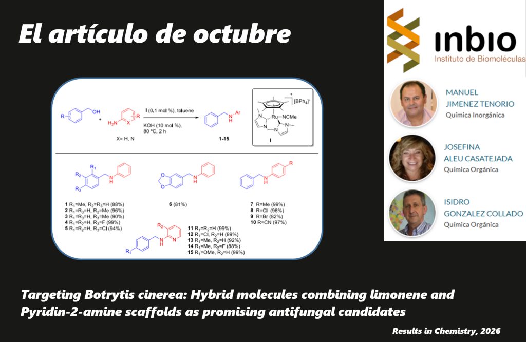 IMG ARTÍCULO MENSUAL